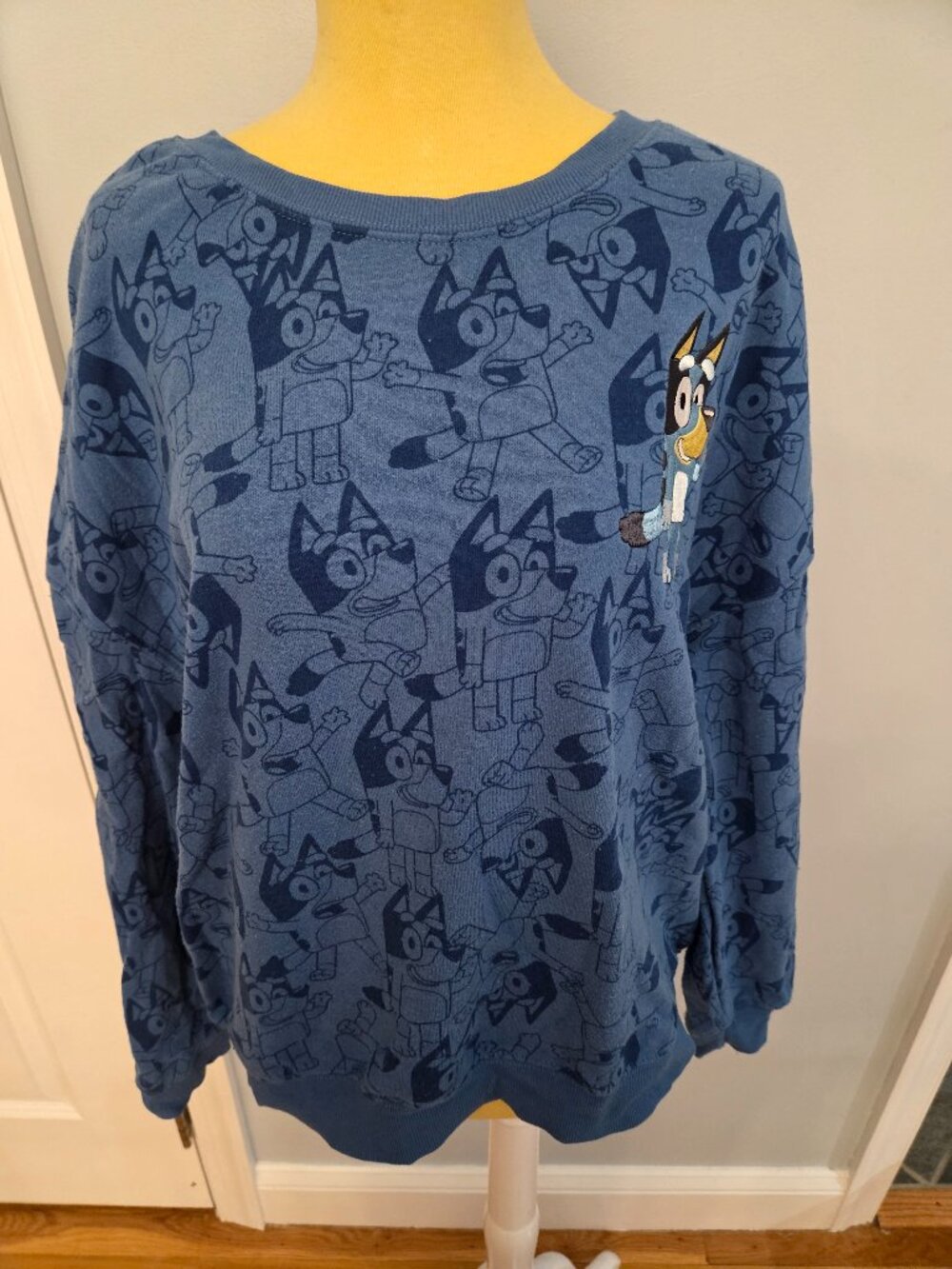 Bluey Pattern Sweatshirt